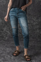 Blue Distressed Ripped Skinny Jeans - ElectronX Plus