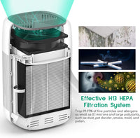 Air Purifier Dehumidifier Q10 HEPA Filter - ElectronX Plus