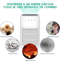 Air Purifier Dehumidifier Q10 HEPA Filter - ElectronX Plus