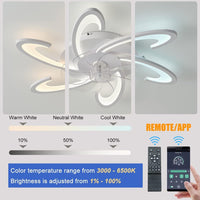 Low Ceiling Light Fan, Low Profile, 6 Wind Speed, 3 Colors (82 cm) - ElectronX Plus