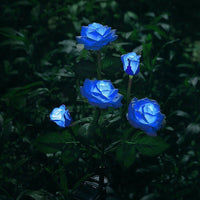 Blue Bulk Solar Garden Lights 75cm Long Rose Flowers Yard Lamp Xmas Halloween Deco AU - ElectronX Plus