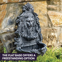 PROTEGE Lion Head Solar Powered Water Feature Fountain, Wall Mount or Freestanding with Lighting - ElectronX Plus