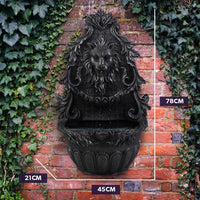 PROTEGE Lion Head Solar Powered Water Feature Fountain, Wall Mount or Freestanding with Lighting - ElectronX Plus