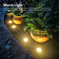 NOVEDEN 12 Pack Waterproof Solar LED Light (Warm) - ElectronX Plus