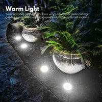 NOVEDEN 12 Pack Waterproof Solar LED Light (White) - ElectronX Plus