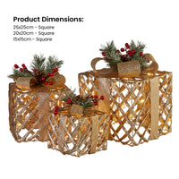 Swishmas Set of 3 Christmas Gift Boxes Display With Lights in Champagne and Gold