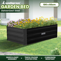 Wallaroo Garden Bed 100 x 60 x 30cm Galvanized Steel - Black - ElectronX Plus