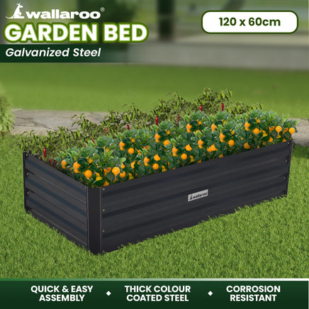 Wallaroo Garden Bed 120 x 60 x 30cm Galvanized Steel - Black - ElectronX Plus