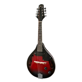 Karrera 8-String Electric Mandolin - ElectronX Plus