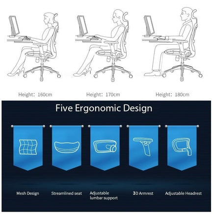 Sihoo M57 Ergonomic Office Chair, Computer Chair Desk Chair High Back Chair Breathable,3D Armrest and Lumbar Support Grey without Footrest - ElectronX Plus