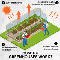 Greenhouse Walk-In Shed 3x2x2M PE Dome Tunnel Polytunnel - ElectronX Plus