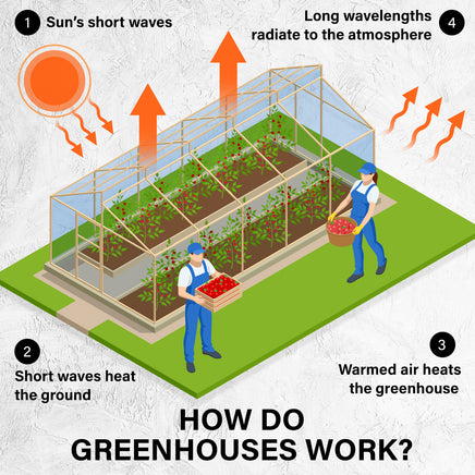 Greenhouse Walk-In Shed 4x3x2M PE Dome Hoop Tunnel Polytunnel - ElectronX Plus