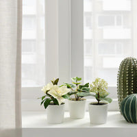 3 Pack of Artificial Potted Plants in White Plastic 6cm Pot Interior Decoration - ElectronX Plus