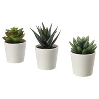 3 Pack of Artificial Succulent Potted Plants in White Plastic 6cm Pot Interior Decoration - ElectronX Plus