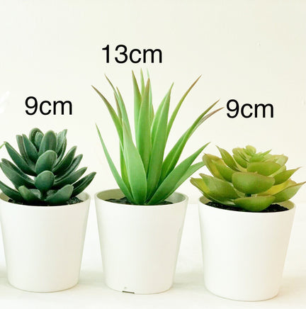 3 Pack of Artificial Succulent Potted Plants in White Plastic 6cm Pot Interior Decoration - ElectronX Plus