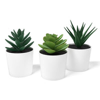 3 Pack of Artificial Succulent Potted Plants in White Plastic 6cm Pot Interior Decoration - ElectronX Plus