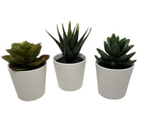 3 Pack of Artificial Succulent Potted Plants in White Plastic 6cm Pot Interior Decoration - ElectronX Plus