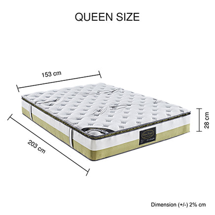 Queen Mattress Memory Pillow Top Pocket Spring Foam Medium Firm Bed - ElectronX Plus