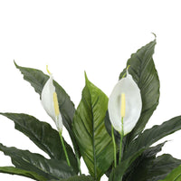 Artificial Spathiphyllum Peace Lily Plant with White Flowers 60cm - ElectronX Plus