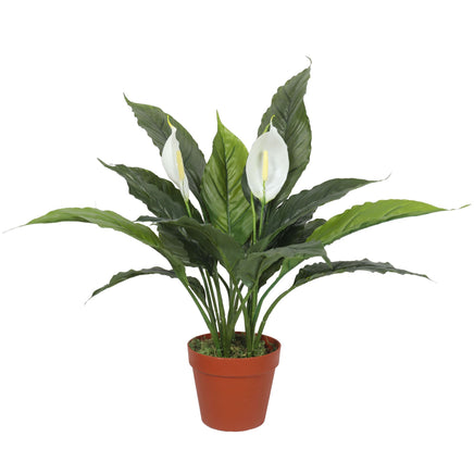 Artificial Spathiphyllum Peace Lily Plant with White Flowers 60cm - ElectronX Plus