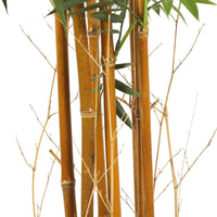 Premium Natural Cane Artificial Bamboo (UV Resistant) 180cm - ElectronX Plus