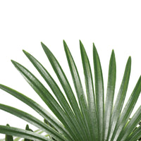 Artificial Wide Leaf Fan Palm Tree 90cm - ElectronX Plus