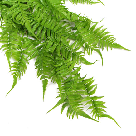 Artificial Hanging English Fern (Two-Tone) Foliage UV Resistant 80cm - ElectronX Plus