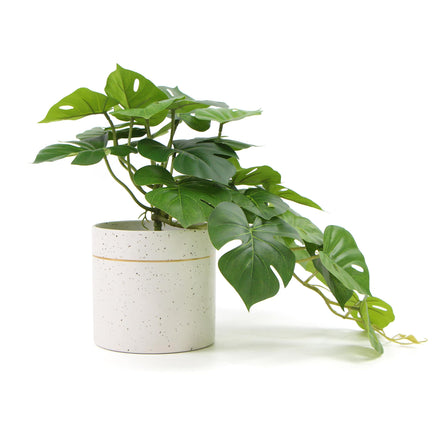 Decorative Ceramic Bowl Potted Artificial Monstera Plant 30cm - ElectronX Plus