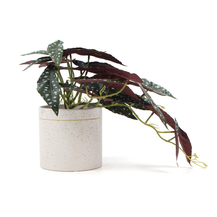 Artificial Bergonia Plant In Decorative Bowl 30cm - ElectronX Plus