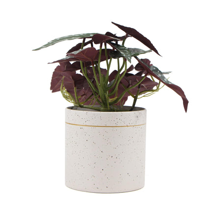 Artificial Bergonia Plant In Decorative Bowl 30cm - ElectronX Plus