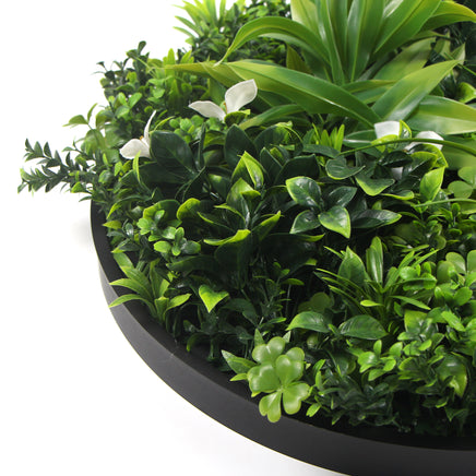 Flowering White Artificial Green Wall Disc UV Resistant 75cm (Black Frame) - ElectronX Plus