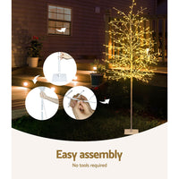 2.1M Christmas Tree 480 LED Solar Jingle Jollys